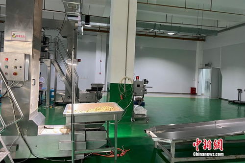 萬千氣象看云南丨從一顆核桃開始，在西南邊陲探索“一縣一業”熱能產品研發
